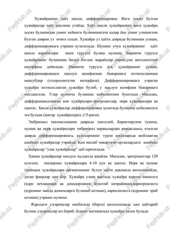 ib bulmas uzgarishlar yuz berib, buning natijasida hujayra halok buladi. xujayra reproduktsiyasining bir necha turlari bor: mitoz (notugri bulinish), meyoz, endomitoz va amitoz (tugri bulinishi). mitoz. mitotik bulinish utgan asrning oxirlarida hayvon hujayralarida flemming (1882), usimlik hujayralarida strasburger (1882) tomonidan ta'riflangan. mitoz (yunoncha mitos - ip) bulinish konuniyatlari barcha hujayralar uchun umumiydir. 25-rasm. xujayraning hayot shaklidagi geterosintetik va avtosintetik interfazalarning uzaro munosabati. xujayra bulinishdagi jarayonlar ma'lum konuniyat asosida borib, ularni ketma-ket keladigan interfaza va mitozga bulish mumkin. ba'zi bir hujayralar populyatsiyasi doimo bulinishda buladi (kambial zona hujayralari). bulinishga tayyorgarlik vaktini (interfaza) va mitoz bulinishi kushilib mitotik tsikl deyiladi (26-rasm). 26-rasm. mitotik tsikl (sxema). g1 - prisintetik (postmitotik)davr; s-sintetik davr; g2 - postsintetik (peremitotik davr). interfaza davrida hujayra ichidagi strukturalarning keskin usishi va shakllanishi boshlanadi. bu davrga g1 -sintez oldi davri deb ataladi. biokimyoviy tomonidan bu davr oksil va rnk intensiv sintezibilan ifodalanadi, bu bulinuvchi hujayralar generatsiya vaktining 30-40 % ini …