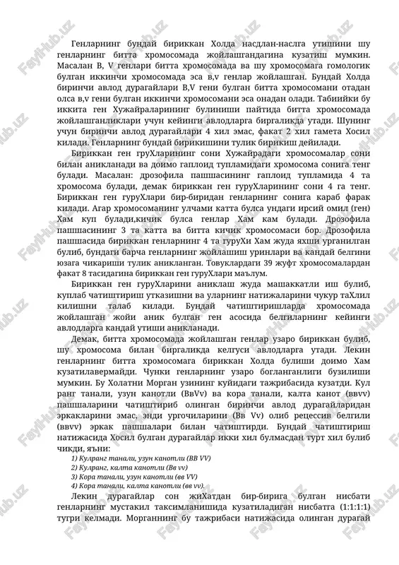 tishtirishning oxirida 4 xil duragaylar urniga fakat 2 xilini, ya'ni ota-ona belgilariga uxshagan kul rang uzun kanotli va kora kalta kanotli duragaylarni oldi. bu chatishtirishda belgilardan kul rang bilan uzun kanot birikkan xolda nasldan-naslga utishini kuzatish kiyin emas. genlarning bunday birikkan xolda nasdlan-naslga utishini shu genlarning bitta xromosomada joylashgandagina kuzatish mumkin. masalan v, v genlari bitta xromosomada va shu xromosomaga gomologik bulgan ikkinchi xromosomada esa v,v genlar joylashgan. bunday xolda birinchi avlod duragaylari v,v geni bulgan bitta xromosomani otadan olsa v,v geni bulgan ikkinchi xromosomani esa onadan oladi. tabiiyki bu ikkita gen xujayralarining bulinishi paytida bitta xromosomada joylashganliklari uchun keyingi avlodlarga birgalikda utadi. shuning uchun birinchi avlod duragaylari 4 xil emas, fakat 2 xil gameta xosil kiladi. genlarning bunday birikishini tulik birikish deyiladi. birikkan gen gruxlarining soni xujayradagi xromosomalar soni bilan aniklanadi va doimo gaploid tuplamidagi xromosoma soniga teng buladi. masalan: drozofila pashshasining gaploid tuplamida 4 ta xromosoma buladi, demak …
