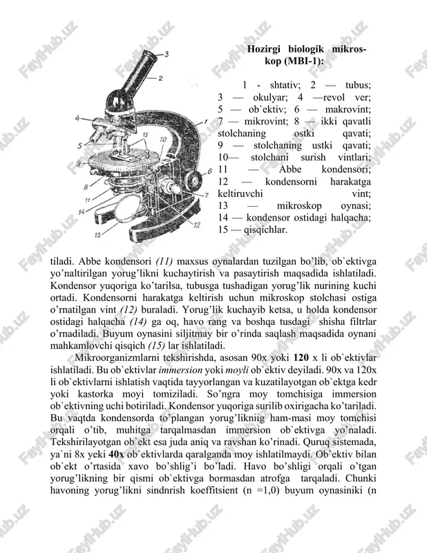 stolchaning ikki tomonidagi vintlar (10) dan foydalaniladi. buyum oynasi qo’l bilan oldinga yoki bir chekkaga surilganida tek-shirilayotgan ob`ekt ko’zga chalinmay ko’rinishi mumkin. shu sababli uni qo’l bilan emas, balki stolchani harakatga keltiradigan vintlar bilan surib, mikroskop doirasining markaziga keltirish kerak. mikroskopdagi ko’zgu (13) yorug’likni to’plash uchun ishla- hozirgi biologik mikroskop (mbi-1): 1 - shtativ; 2 — tubus; 3 — okulyar; 4 —revol ver; 5 — ob`ektiv; 6 — makrovint; 7 — mikrovint; 8 — ikki qavatli stolchaning ostki qavati; 9 — stolchaning ustki qavati; 10— stolchani surish vintlari; 11 — abbe kondensori; 12 — kondensorni harakatga keltiruvchi vint; 13 — mikroskop oynasi; 14 — kondensor ostidagi halqacha; 15 — qisqichlar. tiladi. abbe kondensori (11) maxsus oynalardan tuzilgan bo’lib, ob`ektivga yo’naltirilgan yorug’likni kuchaytirish va pasaytirish maqsadida ishlatiladi. kondensor yuqoriga ko’tarilsa, tubusga tushadigan yorug’lik nurining kuchi ortadi. kondensorni harakatga keltirish uchun mikroskop stolchasi ostiga o’rnatilgan vint (12) buraladi. yorug’lik kuchayib ketsa, u …