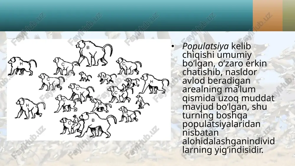 bo‘lgan individlarning maksimal sonidir. ushbu ko‘rsatkich oziq miqdori, egallangan maydonning kengligi va boshqa ekologik omillarning ta’sir kuchiga bog‘liq. tabiiy populatsiyalar soni davriy (muntazam) va nodavriy (ahyonahyonda) ravishda o‘zgarishi mumkin. populatsiyalar sonining davriy o‘zgarishi har mavsumda yoki bir necha yilda sodir bo‘ladi. populatsiyalar sonining mavsumiy o‘zgarishi yer sharining yil fasllari almashinib turadigan mintaqalarida kuzatiladi. individlar sonining har bir necha yildan so‘ng davriy ravishda o‘zgarishi ayrim hayvonlar (masalan, tulki, boyqush) populatsiyalarida kuzatiladi. bog‘larimizda o‘sadigan mevali daraxtlar (masalan, olma, o‘rik) har ikki yilda ko‘p meva beradi, o‘rmonlarda o‘sadigan kedr daraxti har to‘rt yilda mevalaydi. populatsiya zichligi. zichlik – maydon yoki hudud birligidagi organizmlar soni. populatsiya zichligi maydon yoki hudud birligidagi organizmlar soni yoki biomassa bilan o‘lchanadi. masalan, 1 ga da 100 ta daraxt, 1 ga basseyn hududida 10 000 bosh yoki 1000 kg baliq, 1 m3suvda 5 million xlorella yashashi mumkin. jinsiy tarkibi. ko‘pgina turlarda jinsni aniqlashning genetik mexanizmi jinslarning birlamchi nisbati – …