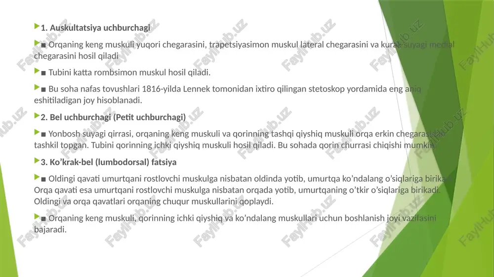 orqaning yuzaki muskullari va ularning anatomik tuzilishi - Page 2