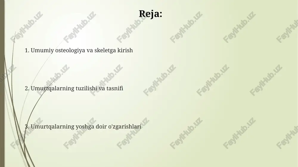 rezorbsiya qiluvchi hujayralar) tomonidan doimiy ravishda yangilanib turadi, bu suyak metabolizmining muhim qismidir. suyak to'qimasi 25% suv, 30% organik moddalar (asosan kollagen) va 45% mineral tuzlardan iborat bo'lib, bu unga mustahkamlik va elastiklik beradi. suyakning mineral komponenti, asosan, kaltsiy fosfat ca3(po4)2 shaklida bo'lib, gidroksiapatit kristallari sifatida suyak matritsasida joylashgan va uning qattiqligini ta'minlaydi. suyak elementlari: suyak hujayralari va ularning turlari osteoblastlar - suyak hosil qiluvchi hujayralar bo'lib, i tipdagi kollagen va suyak matritsasi oqsillarini sintez qiladi, suyak to'qimasining o'sishi va tiklanishida muhim 1-darajali rol o'ynaydi. osteotsitlar - yetuk suyak hujayralari bo'lib, osteoblastlardan hosil bo'ladi va suyak matritsasida joylashadi. ular suyakning mineral almashinuvini tartibga solib, 10-15 yilgacha yashashi mumkin. osteoklastlar - suyakni rezorbsiyalovchi ko'p yadroli hujayralar bo'lib, suyak to'qimasini parchalaydi. bu hujayralar suyakning remodelatsiyasi va kaltsiy gomeostazida 3-darajali muhim ahamiyatga ega. suyak shakllanishi (ossifikatsiya) jarayonlari endoxondral ossifikatsiyada xaftaga skelet avval xaftaga hosil bo'ladi, so'ngra osteoblastlar tomonidan suyak to'qimasiga almashtiriladi; bu jarayon …