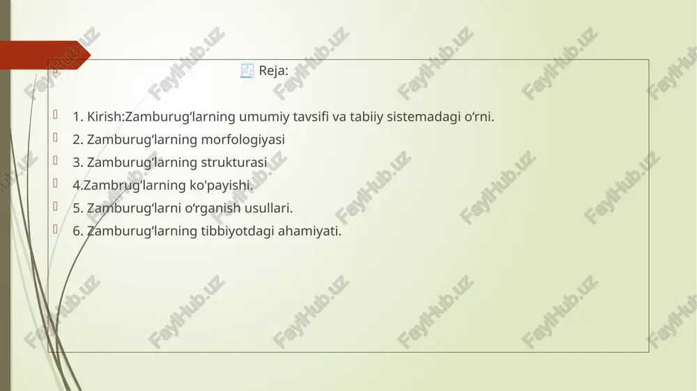 adi. sitoplazmatik membrana: zamburug‘ membranasi ergosterol tutadi.shuning uchun ko‘pgina antifungal dorilar (masalan, nistatin, amfoteritsin b) ergosterol sintezini to‘sadi. yadro va organoidlar:zamburug‘ hujayrasi aniq yadroli (eukariot) bo‘lib, unda dnk saqlanadi.sitoplazmada mitoxondriya, ribosoma, endoplazmatik tarmoq, vakuolalar mavjud. oziqlanish usullari;zamburug‘lar geterotrof organizmlar bo‘lib, oziqni tayyor holda oladi:saprotrof – o‘lik organik moddalardan oziqlanadi. (penicillium).parazit – tirik organizmda yashaydi va kasallik chaqiradi. (candida, trichophyton).simbiont – boshqa organizm bilan foydali aloqada yashaydi (masalan, mikorizalar) . zamburug‘larning ko‘payishi. jinssiz ko‘payish:bo‘linish, pufakcha hosil qilish, yoki spora yordamida amalga oshadi.masalan, candida albicans – pufakcha bilan ko‘payadi. jinsiy ko‘payish:ikki xil gameta yoki gifa qo‘shilishi orqali hosil bo‘ladi.jinsiy ko‘payish natijasida genetik xilma-xillik ortadi. . zamburug‘larni o‘rganish usullari; mikroskopik usullar:zamburug‘ koloniyasidan surtma olinadi.laktfenol ko‘k bo‘yoq bilan bo‘yaladi.mikroskop ostida gifa, mitseliy va sporalar kuzatiladi. kulturaviy (madaniy) usullar.zamburug‘lar maxsus oziqa muhitiga ekiladi: saburo agari.o‘sish harorati: 25–30°c (ba’zi patogenlar uchun 37°c).koloniya shakli, rangi, tuzilishi baholanadi.biokimyoviy usullar:xamirturushlar tomonidan qandlarni parchalash yoki ferment hosil qilish qobiliyati aniqlanadi. …