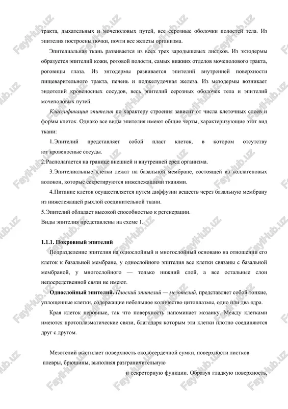 ervnuyu. 1.1. epitelialnaya tkan epitelialnaya tkan, xarakterizuetsya tesnim ob'edineniem kle​tok v plasti i otsutstviem mejkletochnogo veshestva, vipolnyaet za​shitnuyu rol, funktsii vsasivaniya, sekretsii i ekskretsii, cherez ee posredstvo sovershaetsya obmen veshestv mejdu organizmom i vneshney sredoy. epiteliy pokrivaet vsyu narujnuyu poverxnost tela, poverxnost pishevaritelnogo trakta, dixatelnix i mochepolovix putey, vse se​roznie obolochki polostey tela. iz epiteliya postroeni pochki, pochti vse jelezi organizma. epitelialnaya tkan razvivaetsya iz vsex trex zarodishevix list​kov. iz ektodermi obrazuetsya epiteliy koji, rotovoy polosti, samix nijnix otdelov mochepolovogo trakta, rogovitsi glaza. iz entodermi razvivaetsya epiteliy vnutrenney poverxnosti pishevaritelnogo trak​ta, pechen i podjeludochnaya jeleza. iz mezodermi voznikaet endote​liy krovenosnix sosudov, ves epiteliy seroznix obolochek tela i epi​teliy mochepolovix putey. klassifikatsiya epiteliya po xarakteru stroeniya zavisit ot chisla kletochnix sloev i formi kletok. odnako vse vidi epiteliya imeyut ob​shie cherti, xarakterizuyushie etot vid tkani: 1. epiteliy predstavlyaet soboy plast kletok, v kotorom otsutstvu​ yut krovenosnie sosudi. 2. raspolagaetsya na granitse …