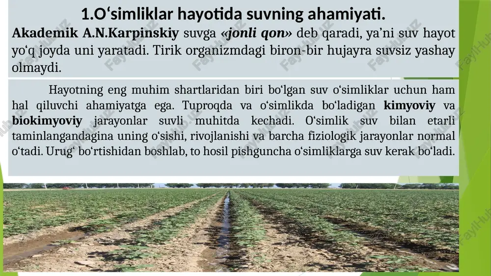 avrida makkajo‘xori gullash va doni sut pishiqligi fazasida g‘o‘za gullash va meva tugish davrida kungaboqar gullash va savatcha hosil qilish fazasida go’zaning suv sarfi bir gektar yerga g’o’za o’simligini suvga talabi chin barg 10-12 m3/ga shonalash 30-50 m3/ga gullash, mevalash 80-120 m3/ga pishish 30-40 m3/ga transpiratsiya o‘simliklar ildizi yordamida tuproqdagi namni o‘zlashtirib, uni organizmi orqali atmosferaga bug‘latib turishi esa transpiratsiya dey. quruq moddalar hosil qilishi uchun sarflangan suv miqdori transpiratsiya koeffitsienti deyiladi. shamolda o’simlikni suv istemol qilishi kuchayadi. k.a.timiryazevning yozishicha o’simlikni transpiratsiyasi, tinch ob-havo sharoitiga ko’ra kuchsiz shamolda 2-3 marta, kuchli shamolda esa 20 martagacha ko’p bo’ladi. transpirasiya koeffitsienti- o’simlikni o’sish sharoitiga, yorug’likka, tuproq va havo namligiga, yerning unumdorligiga, qo’llanilayotgan agratehnikaga qarab o’zgaradi. o‘simliklar turiga qarab transpiratsiya koeffitsienti (prof. a.a.cherkasov malumotlari) ekinlar transpiratsiya koeffitsienti g‘o‘za 280-640 makkajo‘xori 233-386 jo‘xori 237-437 kanop 450-700 beda 446-1068 sholi 250-811 qand lavlagi 262-397 kartoshka 167-636 bug‘doy 231-557 arpa 253-774 suli 332-766 transpiratsiya koeffitsienti - …