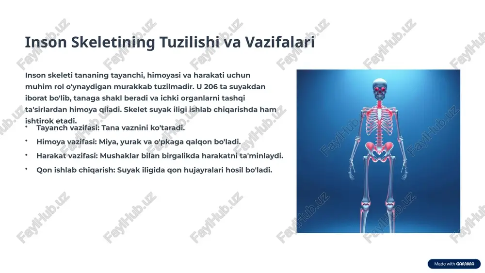 lliq, ko'ndalang-targ'il va yurak mushaklari tanadagi mushaklar uch asosiy turga bo'linadi, ularning har biri o'ziga xos vazifalarni bajaradi. silliq mushaklar ichki organlarda joylashgan (masalan, ichak, qon tomirlari). bizning ixtiyorimizga bo'ysunmaydi. ko'ndalang-targ'il mushaklar skelet suyaklariga birikkan va harakatni ta'minlaydi. ixtiyoriy boshqariladi. yurak mushagi faqat yurakda joylashgan, ritmik ravishda qisqaradi. avtomatik ishlaydi. 6 skelet va mushaklar kasalliklari: sabablari va oldini olish skelet-mushak tizimi kasalliklari hayot sifatini sezilarli darajada pasaytirishi mumkin. ularning oldini olish uchun bir qator choralar ko'rish muhimdir. umumiy kasalliklar artrit: bo'g'imlarning yallig'lanishi. osteoporoz: suyaklarning mo'rtlashishi. skolioz: umurtqa pog'onasining qiyshayishi. mushak distrofiyasi: mushaklarning zaiflashishi. oldini olish to'g'ri ovqatlanish: kaltsiy va d vitamini boy mahsulotlar. jismoniy faoliyat: muntazam mashg'ulotlar. ergonomika: to'g'ri turish va o'tirish holati. xavfsizlik: jarohatlardan saqlanish. 7 sog'lom suyaklar va mushaklar uchun to'g'ri ovqatlanish oziq-ovqat ratsioni suyaklar va mushaklarning mustahkamligi uchun juda muhimdir. quyidagi moddalar ularning sog'lig'ini ta'minlaydi: kaltsiy sut mahsulotlari, yashil sabzavotlar, baliq. d vitamini quyosh nurlari, yog'li baliq, …