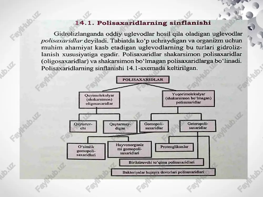 di - va polisaxaridlar. di va polisaxaridlar - Page 2