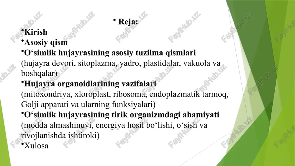 di. katta markaziy vakuola esa suv va unda erigan moddalarning zaxirasini saqlaydi hamda hujayra ichki bosimini tartibga soladi. shu tarzda, o‘simlik hujayrasining har bir qismi o‘zaro uyg‘un faoliyat yuritib, butun organizm hayotini ta’minlaydi. 2. hujayra organoidlarining vazifalari o‘simlik hujayrasidagi organoidlar turli hayotiy jarayonlarni bajarishda muhim ahamiyatga ega. mitoxondriya hujayraning energiya markazi bo‘lib, oziq moddalardan energiya ishlab chiqaradi va uni hujayra faoliyati uchun taqdim etadi. xloroplastlar fotosintez jarayonini amalga oshiradi, ya’ni quyosh energiyasini organik moddalar shaklida saqlaydi va kislorod hosil qiladi. ribosomalar oqsillar sintezida ishtirok etadi, bu esa hujayra va butun o‘simlikning o‘sishi uchun zarurdir. endoplazmatik tarmoq moddalarni transport qiladi va hujayra ichidagi kimyoviy reaksiyalarni tartibga soladi. golji apparati esa hujayrada hosil bo‘lgan moddalarni yig‘adi, o‘zgartiradi va boshqa qismlarga yetkazadi. shu bilan birga, vakuola hujayrada suv va moddalar zaxirasini saqlaydi, hujayra ichki bosimini ushlab turadi va toksik moddalarni yo‘q qiladi. har bir organoidning o‘ziga xos vazifasi hujayra va o‘simlik organizmining normal …
