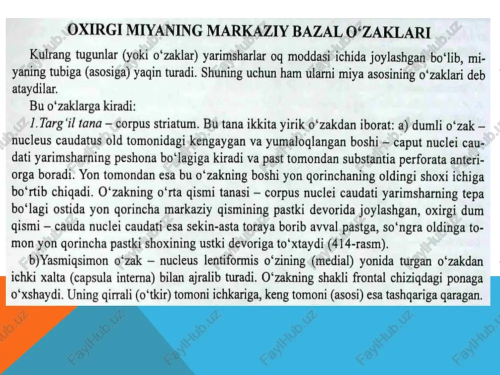 bazalo`zaklar - Page 2