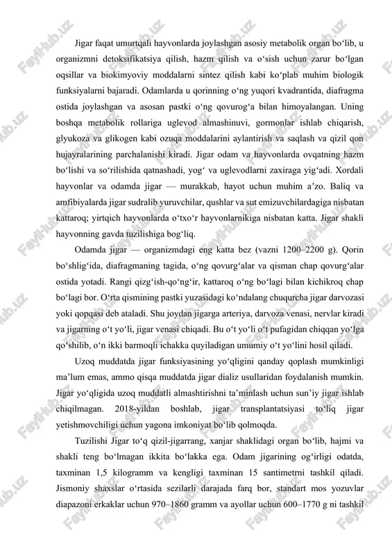 lantatsiyasi toʻliq jigar yetishmovchiligi uchun yagona imkoniyat boʻlib qolmoqda. tuzilishi jigar toʻq qizil-jigarrang, xanjar shaklidagi organ boʻlib, hajmi va shakli teng boʻlmagan ikkita boʻlakka ega. odam jigarining ogʻirligi odatda, taxminan 1,5 kilogramm va kengligi taxminan 15 santimetrni tashkil qiladi. jismoniy shaxslar oʻrtasida sezilarli darajada farq bor, standart mos yozuvlar diapazoni erkaklar uchun 970–1860 gramm va ayollar uchun 600–1770 g ni tashkil qiladi. bu inson tanasidagi eng ogʻir ichki organ va eng katta bezdir. u qorin boʻshligʻining oʻng yuqori kvadrantida, diafragma ostida, oshqozonning oʻng tomonida va oʻt pufagi ustida joylashgan. jigar ikkita yirik qon tomirlari bilan bogʻlangan: jigar arteriyasi va portal vena. portal vena butun oshqozon-ichak traktidan, shuningdek, taloq va oshqozon osti bezidan hazm qilingan oziq moddalarga boy qonni olib yuradi. ushbu qon tomirlari jigar sinusoidlari deb ataladigan kichik kapillyarlarga bo'linadi, keyinchalik ular jigar lobullariga olib keladi. jigar lobulalari jigarning funksional birliklari hisoblanadi. har bir lobula asosiy metabolik hujayralar boʻlgan millionlab …