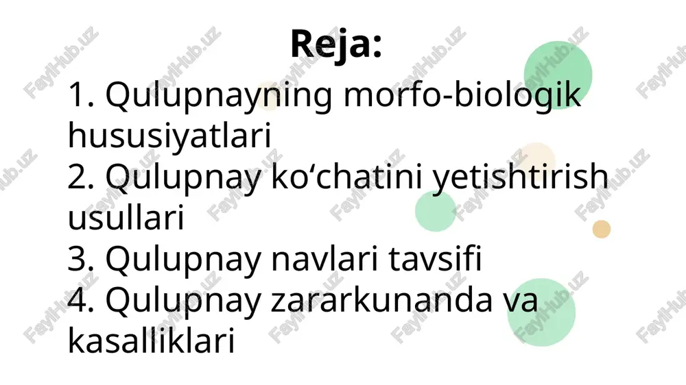 i uchun zarur bo‘lgan sharoitlardan biri yaxshi bog‘ barpo qilishdir. bog‘ qulupnayzorni yorug‘lik yaxshi tushadigan, shamoldan pana, suv bilan yaxshi ta’minlangan yerda barpo qilish kerak. mazkur ekin uchun nisbatan tekis yoki bir oz nishabroq, sizot suvlari yer yuzidan bir metr chuqurlikda joylashgan maydonlar tanlanadi. ertagi mahsulot yetishtirish uchun janub tomonga nishab, kechkiroqlari uchun esa shimol tomonga nishabroq maydon ajratiladi. shuni esda tutish muhimki, janubiy qiyalikdagi ekinga ko‘klamgi izg‘irin xavf soladi, yozda o‘z vaqtida sug‘orilmaganda qulupnay barglarini oftob urib ketadi. qulupnay uchun eng yaxshi nishablik janubi-g‘arbiy va shimoli-g‘arbiy qiyalik bo‘lib, bunda tuproq tez qurib ketmaydi. yerni ekishga tayyorlash. qulupnay ko‘p yillik o‘tsimon o‘simlik bo‘lib, bitta maydonda 3 yildan 8 yilgacha o‘saveradi. bu yillar ichida tez-tez sug‘orish natijasida yerni begona o‘tlar bosadi, tuproq zichlashib ketadi, kasallikka chalinadi, zararkunandalar tushadi. shuning uchun qulupnay yetishtiriladigan maydonni yumshoq, g‘ovak, oziq moddalarga boy hamda g‘umay, ajriq kabi ildizi kuchli o‘sadigan begona o‘tlardan toza holda saqlash kerak. …