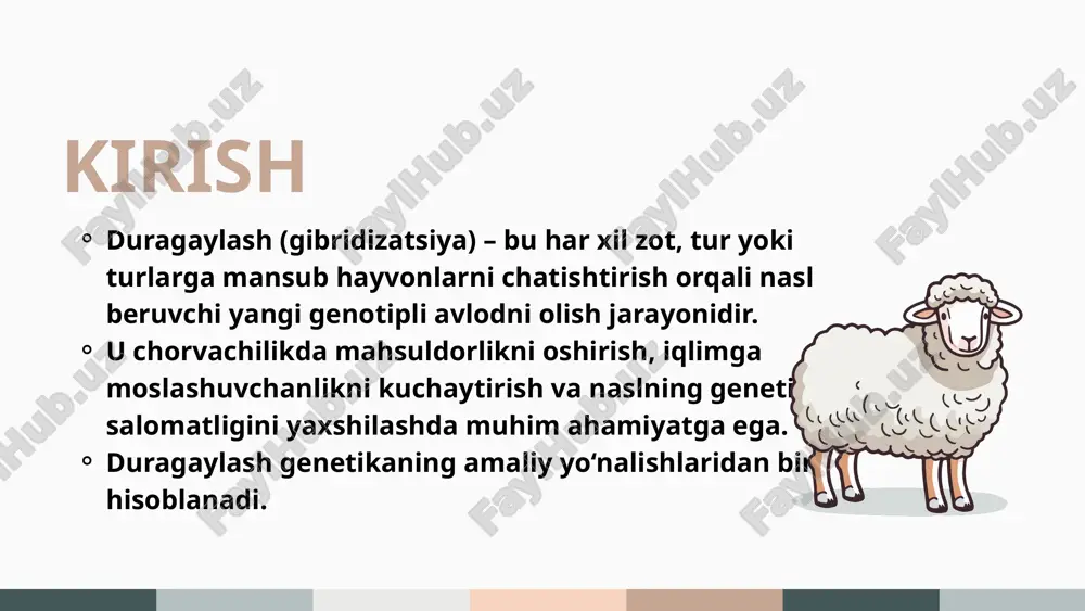 hilik: jun sifati va serko‘plikni yaxshilash (merinos × qorako‘l). parrandachilik: tuxumdorlik va o‘sish tezligini oshirish (broiler × leggorn). cho‘chqachilik: o‘sish tezligi va go‘sht sifatini yaxshilash (landras × yirik oq). chorvachilikda qo‘llanilishi 1. ota-onalik juftlarni tanlash – genetik va fenotipik belgilar asosida. 2. chatishtirish (sun’iy urug‘lantirish yoki tabiiy yo‘l bilan). 3. avlodlarni baholash – naslning mahsuldorligi, o‘sish sur’ati va moslashuvchanligi tekshiriladi. 4. eng yaxshi duragaylarni tanlab ko‘paytirish. duragaylashning bosqichlari afzalliklari: mahsuldorlikni tez oshirish imkonini beradi. genetik salomatlikni yaxshilaydi. iqlim sharoitiga moslashuvni kuchaytiradi. kamchiliklari: nasl barqarorligini saqlash qiyin. ba’zi duragaylar bepusht bo‘lishi mumkin (masalan, xachir). har doim genetik uyg‘unlik ta’minlanmaydi. afzalliklari va kamchiliklari hayvon turi duragaylash namunasi maqsad qoramol golland × mahalliy sut unumdorligini oshirish qo‘y merinos × qorako‘l jun sifati yaxshilanishi tovuq broiler × leggorn go‘sht va tuxum unumdorligi cho‘chqa landras × yirik oq go‘shtning sifatini oshirish misollar duragaylash – chorvachilik genetikasi va seleksiyasining eng samarali usullaridan biridir. uning natijasida yangi, …