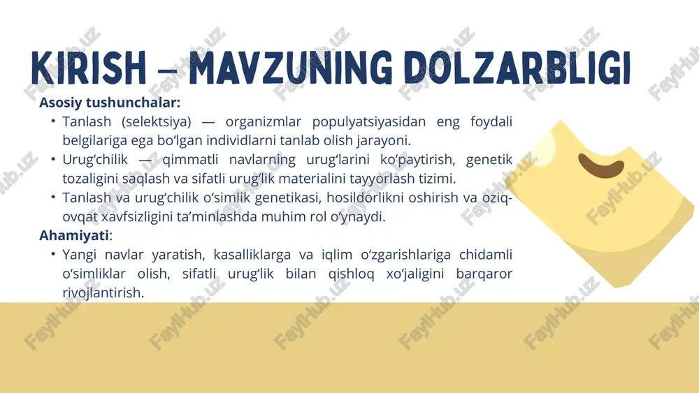 arda bir xilda o‘sgan chiziqlar tanlanadi. har bir chiziqning hosildorligi, sifat ko‘rsatkichlari va chidamliligi tekshiriladi. yakunda eng barqaror va bir xil genotipli nav olinadi. afzalliklari: yuqori genetik tozalik. belgilarni saqlash oson. nasliy (pedigreeli) tanlash: avlodlar bo‘yicha kuzatuv olib boriladi (f₂, f₃, f₄ va hokazo). har bir tanlangan o‘simlikning nasl daraxti qayd etiladi. eng barqaror chiziqlar keyinchalik yangi nav sifatida ajratiladi. bekros chatishtirish va qayta tanlash bekros chatishtirish (backcross) usuli: maqsad — bir navdan foydali belgini (masalan, kasallikka chidamlilik genini) boshqasiga o‘tkazish. bunda asosiy nav (ona shakl) bilan bir necha marta qayta chatishtirish olib boriladi. natijada asosiy navning genotipi saqlanib qoladi, lekin yangi foydali belgi unga qo‘shiladi. qayta tanlash (recurrent selection): populyatsiya ichida eng yaxshi individlar tanlanadi va ularning urug‘lari aralashtirilib qayta ekiladi. har bir siklda genetik foyda ortadi. asosan o‘zaro changlanadigan o‘simliklarda (makkajo‘xori, beda, kungaboqar) qo‘llaniladi. urug‘chilik tizimi quyidagi bosqichlardan iborat: 1. ibtidoiy urug‘lik — yangi yaratilgan navning dastlabki urug‘i. …