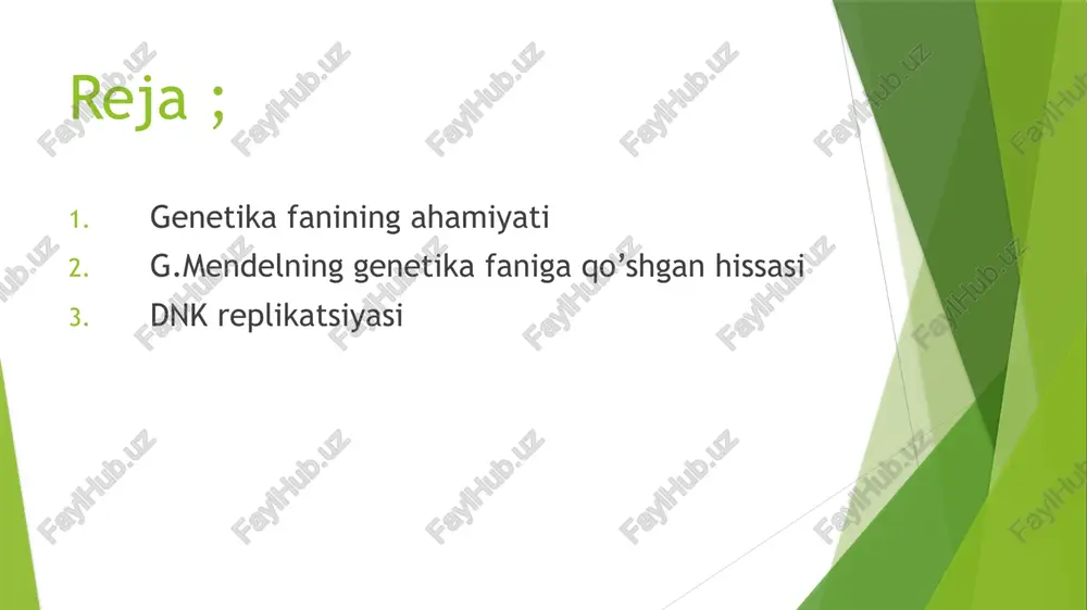 genetikaning nazariy va amaliy ahamiyati. dnk replikatsiyasi - Page 2