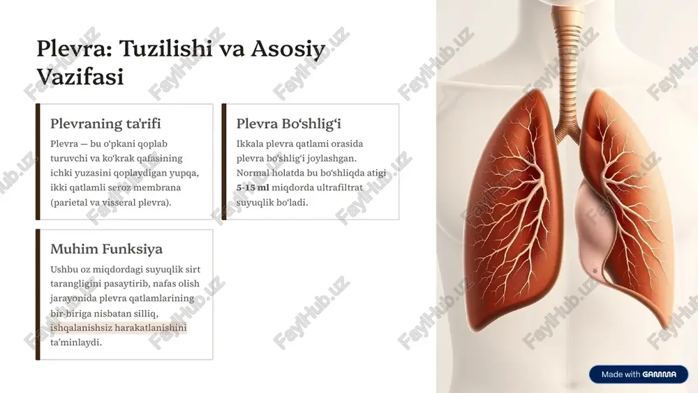 lan bog'liq bo'lgan ekstrapulmonar tuberkulyozning eng keng tarqalgan shaklidir. asosiy mexanizm: kasallik ko»pincha o»pkadagi birlamchi o»choqdan (subplevral kox o'chog'i) plevra bo»shlig»iga to'g'ridan-to'g'ri yoki limfogen yo'l bilan bakteriyalarning kirishi va plevrada allergik-immun javobni qo'zg'atishi natijasida yuzaga keladi. immun javob plevral suyuqlikda kuchli immun reaksiya, xususan, t-limfotsitlar va interferon-gamma (ifn-³) miqdori sezilarli darajada ko»payadi. eksudativ tabiat tuberkulyoz plevriti deyarli har doim eksudativ xarakterga ega bo»lib, suyuqlik tarkibida oqsil va limfotsitlar miqdori yuqori bo'ladi. plevra shikastlanishi yallig'lanish tufayli plevraning o'tkazuvchanligi oshadi, bu esa fibrin va suyuqlikning to'planishiga olib keladi. https://gamma.app/?utm_source=made-with-gamma tuberkulyoz plevritining klinik belgilari tuberkulyoz plevriti ko'pincha o'tkir yoki yarim o'tkir boshlanib, bemorning umumiy holatiga sezilarli ta'sir qiladi. ko8krak og8rig8i odatda shikastlangan sohada o'tkir, sanchuvchi og'riq bo'lib, chuqur nafas olish, yo'talish yoki gavdani bukkanida kuchayadi (plevral og'riq). yo8tal ko'pincha quruq, g'ayri-mahsul yo'tal kuzatiladi. ba¼zan o»pka shikastlanishi bilan birga kelgan hollarda oz miqdorda qonli balg»am ham bo'lishi mumkin. harorat ko8tarilishi subfebril (37.5°c) yoki febril …
