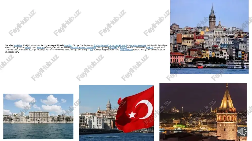nida yaqin sharq, kichik va o‘rta osiyo madaniyatlari taʼsirida shakllangan. shuning uchun bo‘lsa kerak, u o‘zida turli xalqlarning, turli mintaqalarning anʼanalarini aks ettiradi. turk oshxonasi go‘shtli ovqatlarga boy, ular ichida eng mashhuri, albatta, kabobdir. turkiyaning turli viloyatlarida kabobning o‘ndan ortiq turlari tayyorlanadi. ammo turk oshxonasi shirinlik ishqibozlarini ham eʼtiborsiz qoldirmaydi — ular lokum, holva, pahlavadan baxramand bo‘lishlari mumkin. bulardan tashqari, turk qahvasi va choyi, „simit“ teshik kulchalari va mahalliy pitssa — lahmajun o‘z shinavandalariga ega bo‘lib ulgurgan. turk baklavasi milliy kiyimlar turk xalq liboslari turli xil an'anaviy uslubdir xalq kiyimlari asosan qishloq joylarida kiyiladi kurka mamlakatning ettita geografik mintaqasida. xalq kiyim uslubida mintaqaga, jinsga, millatga, egasining sinfiga, madaniyatiga va kamroq darajada dinga asoslangan bo'lishi mumkin bo'lgan ko'plab xilma-xillik va ma'lumotnomalar mavjud. bu xalq liboslari uslublarining aksariyatida rang-barang chiziqlar, gulli gulli kiyimlar, ko'p qatlamlar, poulainlar (charak) va mintaqada farq qiluvchi umumiy jonli ranglarni asosiy o'xshash xususiyat hisoblanadi. ushbu xalq uslublaridaginazarda tutilgan …