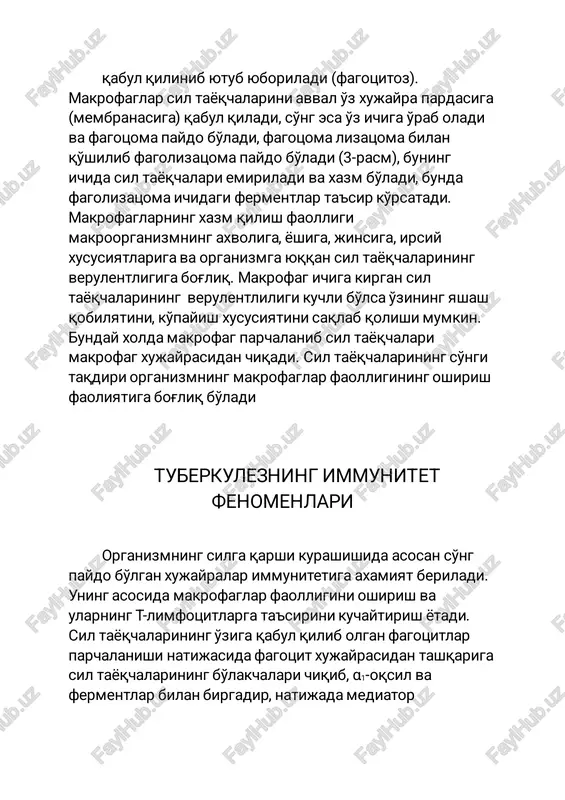 oliga, yoshiga, jinsiga, irsiy xususiyatlariga va organizmga yuqqan sil tayoqchalarining verulentligiga bog'liq. makrofag ichiga kirgan sil tayoqchalarining verulentliligi kuchli bo'lsa o'zining yashash qobilyatini, ko'payish xususiyatini saqlab qolishimumkin. bunday xoldamakrofag parchalanib sil tayoqchalari makrofag xujayrasidan chiqadi. sil tayoqchalarining so'ngi taqdiri organizmning makrofaglar faolligining oshirish faoliyatiga bog'liq bo'ladi tuberkulezningimmunitet fenomenlari organizmning silga qarshi kurashishida asosan so'ng paydo bo'lgan xujayralar immunitetiga axamiyat beriladi. uning asosida makrofaglar faolligini oshirish va ularning t-limfotsitlarga ta'sirini kuchaytirish yotadi. sil tayoqchalarining o'ziga qabul qilib olganfagotsitlar parchalanishi natijasidafagotsit xujayrasidan tashqariga sil tayoqchalarining bo'lakchalari chiqib, α1-oqsil va fermentlar bilan birgadir, natijadamediator (interleykin 1) paydo bo'ladi. paydo bo'lgan interleykin ta'siridat-limfotsitlarining faolligi kuchayadi. t-limfotsitlari esa o'z navbatidalimfokin – mediatorlarini (interleykin 2) ishlab chiqaradi, bu esa makrofaglarning xarakatini va sil tayoqchalariga nisbatan bo'lgan fermentativ faolligini oshiradi. makrofaglar tomonidan ishlab chiqariladigan mediatrolar immunoglobulinlar sentiziga javobgar xisoblangan v- limfotsitlarning faolligini kuchaytiradi. lekin shuni aytish kerakki, u yoki bu sinfdagi immunoglobulinlarning qonda to'planishi immunitet kuchini oshirmaydi. …