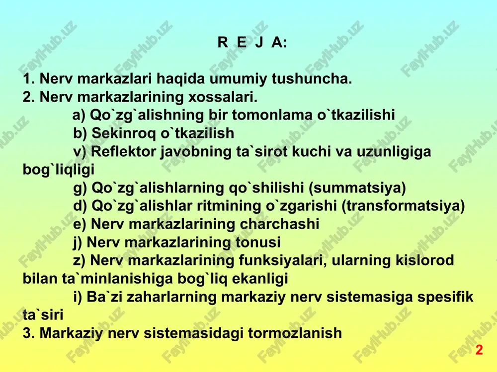 nervsistemasituzilishi - Page 2