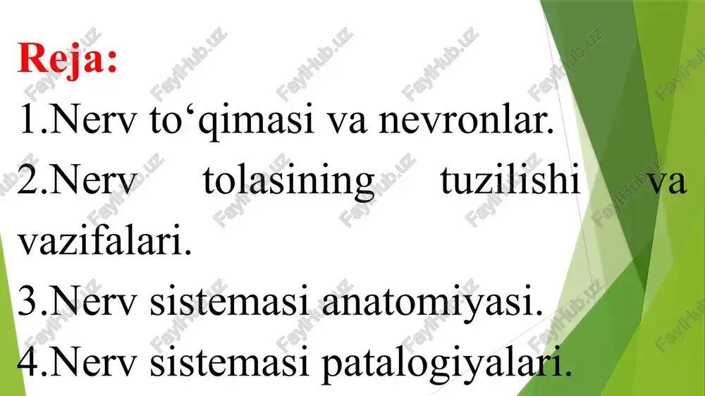 an ta'minlash va barer (to‘siq,) funksiyasini bajaradi. mikrogliya esa nerv to‘qimasining har xil patologik jarayonlar natijasida nobud bo‘lgan qoldiqlarini vena qon tomirlariga chiqarib tashlaydi. nerv sistemasi anatomiyasi periferik nerv sistemasi. periferiyadagi nerv sistemasi markaziy nerv sistemasi bilan chambarchas bog‘liq bo‘lib, undan ajralmasdir. periferiyadagi nerv sistemasi nervlardan tuzilgan: bu nervlar markaziy nerv sistemasidan chiqib va butun organizmga tarmoqlanib, organizmning har bir qismini bosh miya va orqa miya bilan bog‘laydi. bosh miyadan 12 juft nerv, orqa miyadan 31 juft nerv chiqadi. periferiyadagi nerv tolalari orqa miya bilan bosh miyaning ichki qismlariga kiradi. tevarak-atrofimizdagi voqelikni ana shu nervlar yordami bilan sezamiz va idrok qilamiz. bu nervlar retseptor (sezuvchi), markazga intilunchi yoki afferent nervlar deb ham ataladi. harakatlantiruvchi (yoki motor) nervlar markazdan muskul va bezlarga impuls yetkazadi. shu nervlar yordami bilan muskullarimiz harakatga keladi, xilma-xil ish-harakatlar qilinadi, turli bezlar (masalan, so‘lak bezlari) ning faoliyati ham shu nervlar yordami bilan idora etiladi. bu nervlar markazdan …