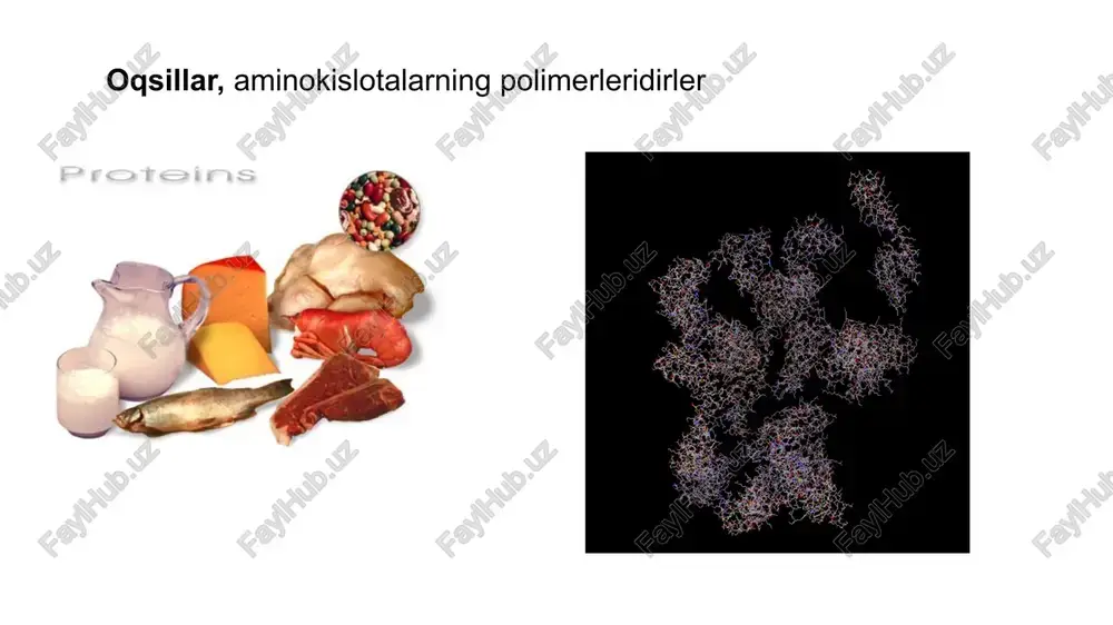 dikarbon aminokislotalardan hosil bo’lgan peptin bog’larni parchalaydi. pepsin/gastriksin nisbati = 4:1 oshqozon: oqsillarning hazmlanishi hayvon va o’simliklardan olingan oqsillar, oshqozonda harorat va hcl ta’sirida denaturatsiyaga uchraydi. 1.karboangidraza fermenti ta’sirida karbonat kislota hosil bo’lishi. 2.h protoni h/k atfaza faol transporti 3.gidrokarbonatlar cl bilan antiporti 4.cl ioni xlorid kalallari orqali oshqozon bo’shlig’iga ajraladi 3 4 oshqzonda issiqlik va hcl ta’sirida denaturatsiyalangan oqsillar, oshqozonda va ingichka ichaklarda proteaza va peptidazalar ta’sirida parchalanadi. proteinaza ve peptidazalar, oshqozon va ichak mukoza hujayralarida, pankreas hujayralarida o’zi sintezlangan organni parchalab yubormasligi uchun enzimlar katif bo’lmagan proenzim (zimogen) shaklda sintezlanadi va songra boshqa moddalar ta’sirida aktiflanadi. tripsinogen oshqozon mukozasidan ajralgan 40000 molekulyar og’irlikka ega bo’lgan pepsinogen, hcl ta’sirida 31000 molekulyar og’irlikka ega bo’lgan pepsinga aylanadi. pepsin, optimal sharoita 5 dan past phda faol bo’lgan endopeptidazadi. pepsin, polipeptid zanjiridagi tirozin, fenilalanin, glutamat, va aspartat kabi aminokislotalarning hosil qilgan peptid bog’larini parchalaydi. tripsin, meda osti bezidan 24500 og’irlikdagi inaktif tripsinogen …