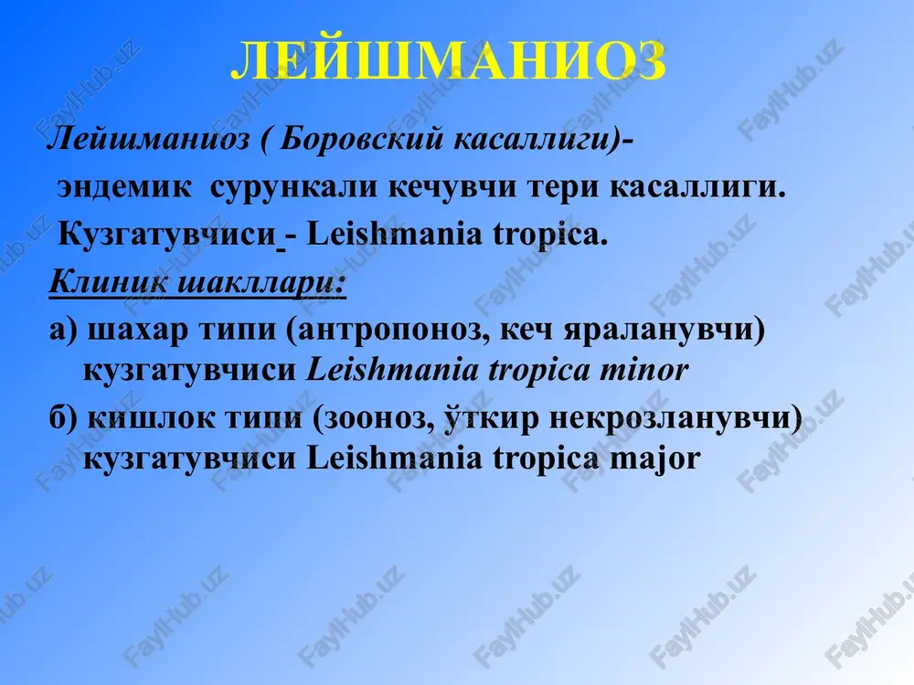 ndan keyin paydo bo'ladi. odatda eski leyshmanioma chandig'ining yuzasida yoki chetlarida rivojlanadi. leyshmanioz sil volchankasiga nisbatan sekin kechishini ham inobatga olish kerak. gistologik tekshiruvda langxansning gigant hujayralari, tuberkulez mikobakteriyalari topiladi. tuberkulyozli volchanka metaleyshmanioz leyshmanioz va moxovnning silsimon turining kiyosiy tashxisi differentsial diagnostikada leyshmaniomalar tananing ochiq sohalari terisida joylashishi va qo'shilishga moil emasligini inobatga olish lozim. odatda leyshmaniomalar paydo bo'lgandan keyin 4-6 oydan so'ng yaralanadi va jarayon chandiqlanish bilan tugaydi, moxov esa o'z navbatida yillab kechadi. bundan tashqari leyshmaniozda sezgi buzilishlari bo'lmaydi. moxovning silsimon turi leyshmanioz diagnostik me'zonlar epid anamnez yigish bakterioskopik tekshiruv (hujayralar (makrofaglar) ichida yoki tashqarisida joylashgan yumaloq shakldagi leyshmaniyalar). leyshmaniozni davolash doksitsiklin-0,1 , 1 kapsula * 2 max kuniga, 10 kun aminoxinol 0,15-0,2 g , 0,45-0,6 kuniga, 25-30 kun xinalgin 0,25 , 8-10 g sutkasiga, 10-12 kun lepra – surunkali infektsion kasallik, kuzgatuvchisi ganzen tayokchalari (mycobacterium leprae hansen), 1871 yil klassifikatsiya: lepromatoz (moxovsimon moxov) turi tuberkuloid (silsimon) turi …