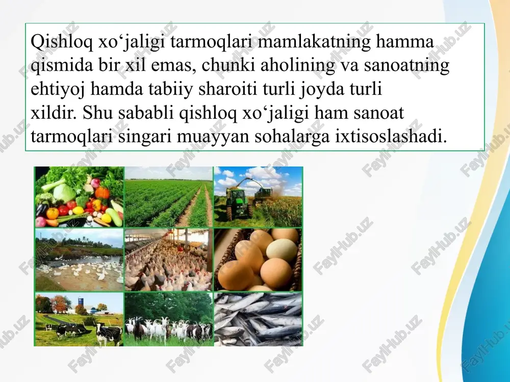 ritilishiga sabab nima? 2. viloyatingiz ixtisoslashgan qishloq xo‘jaligi boshqa sohalar bilan qanday aloqadorligini o‘quv atlasidan foydalanib tushuntiring. foydalanilgan adabiyotlar: p. musayev, j. musayev – geogragfiya (o‘zbekiston ijtimoiy-iqtisodiy geografiyasi) – umumiy o‘rta ta’lim maktablarining 8-sinfi uchun darslik – “sharq” nashriyoti – toshkent – 2014,2019 / www.eduportal.uz atlas (o‘rta osiyo va o‘zbekiston tabiiy geografiyasi), 7-sinf, o‘zbekiston yer resurslari, geodeziya, kartografiya va davlat kadastri qo‘mitasi, toshkent 2017 image1.jpeg image3.jpeg image4.png image5.jpeg image6.jpeg image7.jpeg image8.jpeg image9.jpeg image10.jpeg image11.jpeg image12.jpeg image13.jpeg image14.jpeg image15.jpeg image16.jpeg image17.png image18.jpeg image19.jpeg image20.jpeg image21.jpeg image22.jpeg image23.jpeg image24.jpeg image25.jpeg image26.jpeg image2.jpeg