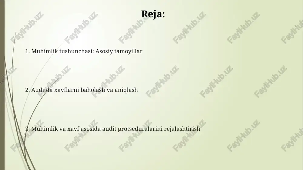 auditorliktekshiruvidamuhimlilikvarisk - Page 2