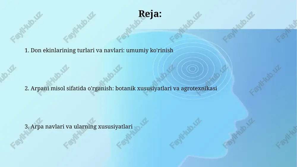 tizimi popuksimon boʻlib, tuproqning yuqori qatlamlarida, asosan 25-30 sm chuqurlikda joylashadi, lekin baʼzi ildizlar 1 metrgacha yetishi mumkin. arpa poyasi silindrsimon, ichi boʻsh, boʻgʻimlarga boʻlingan boʻlib, odatda 50 sm dan 120 sm gacha balandlikka yetadi va 5-7 ta barg hosil qiladi. arpa navlarining geografik tarqalishi arpaning geografik tarqalishi keng, ammo uning asosiy navlari turli iqlim sharoitlariga moslashgan. masalan, 'nutans' turi mo'tadil mintaqalarda, 'venera' esa qurg'oqchil hududlarda yaxshi o'sadi. barqaror hosil beruvchi 'zafar' navi o'zbekistonning sug'oriladigan dehqonchilik mintaqalarida keng tarqalgan. tog'li hududlarda esa sovuqqa chidamli 'lola' arpa navi afzal ko'riladi, bu yerda harorat past bo'lishi mumkin. o'zbekistonda arpa yetishtirishning o'ziga xos xususiyatlari o'zbekistonda arpa, asosan, lalmi va sug'oriladigan yerlarda yetishtiriladi, hosildorlik esa gektariga o'rtacha 25-35 sentnerni tashkil etadi, bu uning moslashuvchanligini ko'rsatadi. respublikada arpaning mahalliy navlari yaratilgan bo'lib, ular qurg'oqchilikka chidamli va 110-120 kun ichida pishib yetiladi, bu esa suv resurslarini tejashga yordam beradi. arpa navlarini tanlash mezonlari: hosildorlik, sifat, kasalliklarga …