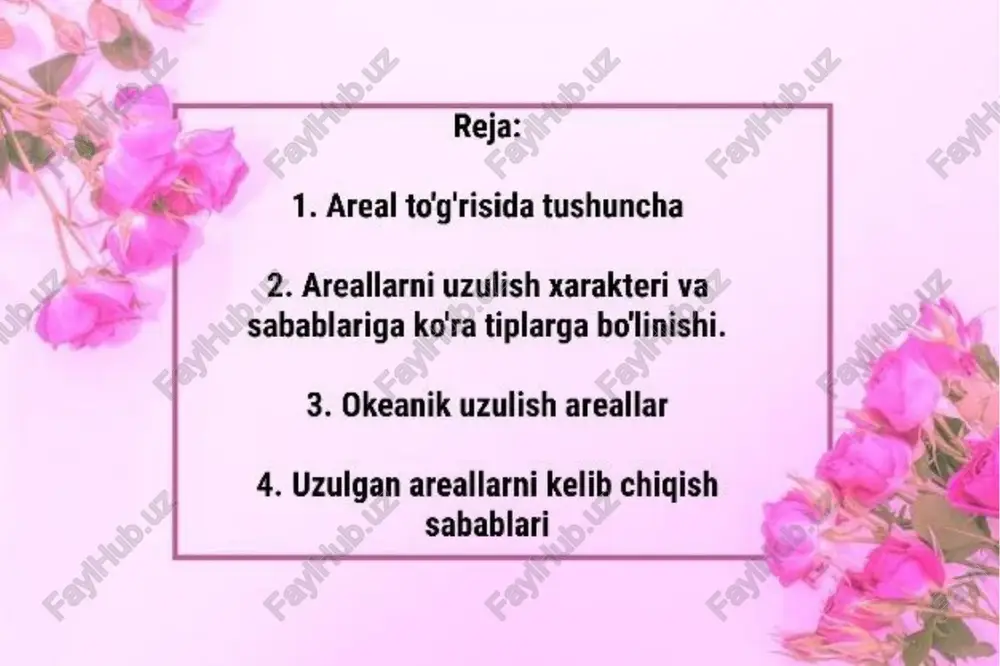areal haqida tushuncha - Page 2