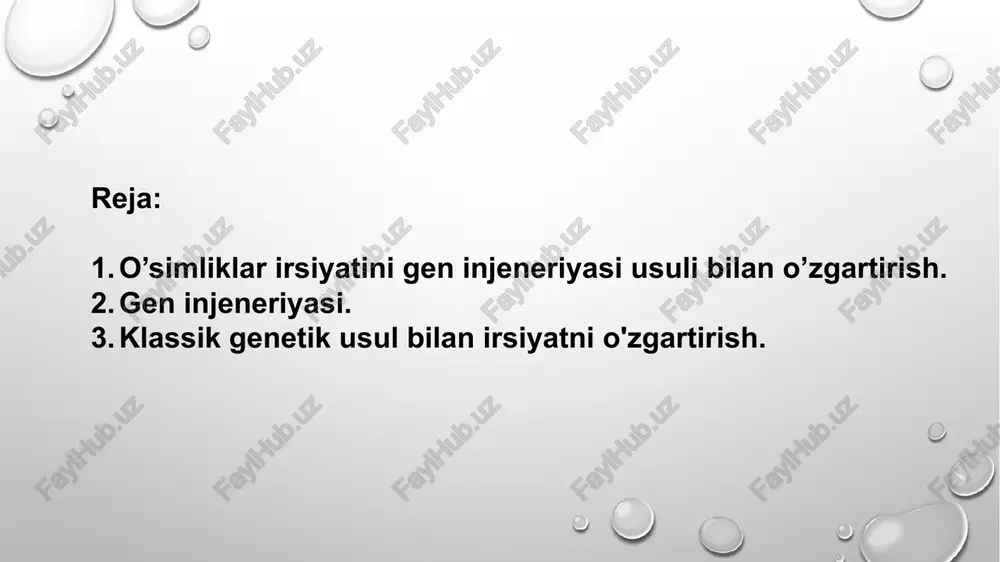 a erishdi. hozirgi kunda aqsh oziq-ovqat do'konlarida bu mahsulot sotilmoqda. zigotaga (urug'lantirilgani tuxum hujayraga) har xil genlarni mikroinyeksiya qilib transgen sichqon yoki kalamush olish ko'plab laboratoriyalarda bajarildi. mamlakatimizda akademik j.h. hamidov rahbarligida shu usulni qo'llab quyon zigotasiga o'sish gormoni geni kiritildi va odatdagiga nisbatan yirik va tez o'suvchi transgen quyon olindi. ma'lumki, klon deb mikroorganizmning bir hujayrasi bo'linishi natijasida hosil bo'lgan bakteriya koloniyasiga aytiladi. o'simliklarning kloni bir hujayradan sun'iy sharoitda ko'paytirilib yoki qalamchalardan vegetativ ko'paytirish usuli bilan olinadi. yuksak hayvonlar vegetativ yo'l bilan ko'paymasligi sababli ularning klonini olish yaqin kunlargacha muammo bo'lib kelmoqda. 1997-yil shotlandiyalik olim roslin qo'yning klonini yaratdi va bu ixtiro juda ko'p shov-shuvlarga sabab bo'ldi. bu tajribaga qadar yadrosi olib tashlangan zigotaga boshqa embrional bujayradan olingan yadro ko'chirib o'tkazilar va hosil bo'l gan transplant tuxum hujayra o'gay ona bachadoniga kiritilar (implantatsiya qilinar) edi. klassik genetik usul bilan irsiyatni o'zgartirishda ikki xil genotipli organizm chatishtirilganda ularning barcha xo'jalik …