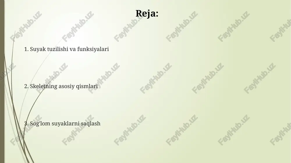 skelet - Page 2