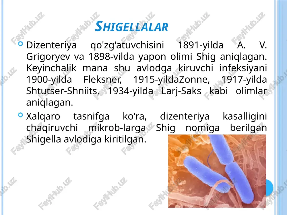 xos antigenlarni saqlovchi somatik 0 antigenini saqlaydi. xalqaro tasnifga ko'ra shigellalar to'rt guruhga bo'linadi va lotincha a, b, c, d harflari bilan belgilanadi. a guruhiga: 1) grigoryev-shig; 2) shtutber-eshmits; 3) larj-saks va 8-10 provizorlari kiradi. bu guruhga kiruvchi a'zolar faqat tur antigenini saqlaydi va arab raqamlari bilan belgilanadi. v guruhiga fleksner shigellasi kiradi. u murakkab antigenic tuzilishiga ega. u tur antigenini saqlaydi va ular rim raqamlari bilan belgilanadi hamda guruh antigenini saqlab arab raqamlari bilan belgilanadi. fleksner shigellasining 6 ta serovarianti mavjud.s guruhiga boyd shigellasi kiradi, uning tur antigeni bo'lib ta serologik turi mavjud. d guruhiga zonne shigellasi kiradi, uning turiga xos antige mavjud chidamligi. 100°c harorat ta'sirida shu zahoti, 60°c haroratda 20-30 daqiqadan so'ng nobud bo'ladi. past haroratga chidamli, ho'l meva va sabzavotlarda 10-15 oy saqlanadi. tik quyosh nuri ta'sirida 2-3 soatdan keyin, shig turi esa 20 daqiqadan so'n nobud bo'ladi. desinfeksiyalovchi moddalar ta'sirida 20-30 daqiqadan keyin nobud bo'ladi. …