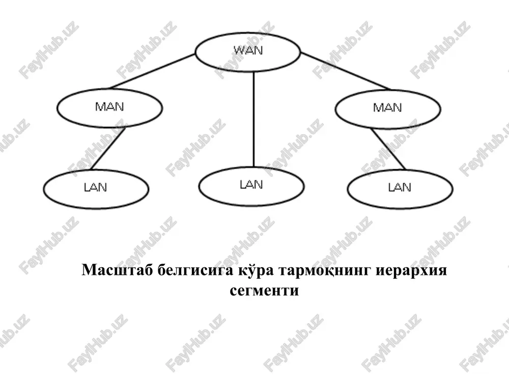 a barcha kompyuterlar bir hil huquqga egadirlar: kompyuterlar o'rtasida ierarxiya va ajratilgan (dedicatet) server yo'qdir. ko'pincha har bir kompyuter mijoz sifatida va server sifatida ishlaydi; birrangli tarmoq–bu uncha katta bo'lmagan jamoa, shuning uchun birrangli tarmoqda asosan 10tadan ortiq bo'lmagan kompyuterlar ishlaydi. birrangli tarmoq bir qancha standart echimlar bilan tavsiflanadi: kompyuterlar foydalanuvchilarning ish stolida joylashgan, foydalanuvchilarning o'zlari ma'muriyat rolida chiqadilar va axborot xavfsizligini ta'minlaydilar. kompyuterlarni bog'lash uchun oddiy kabel sistemasidan foydalaniladi. server asosidagi tarmok server shunday loyihalashtirilganki, bunda ko'pgna fayllar va printerlarga kirish amalga oshiriladi va bunda yuqori darajada himoyalash amalga oshiriladi. ma'lumotlarga kirish va ularni ma'murlash markazlashtirilgan xolda amalga oshiriladi. ko'pincha resurslarham markazlashgan bo'ladi, bu esa ularni qidirish va qo'llab quvvatlashni osonlashtiradi. masalan, windos nt serwer sistemasida kataloglarni ajratish file menager asosida amalga oshiriladi. maxsus serverlar tuzilishi mumkin: fayl-serverlar va print-serverlar, masofadan kirish serveri, amaliy serverlar, pochta serveri, faks-serverlar, xabarlar serveri. server asosidagi tarmok server asosidagi tarmok quyidagi xususiyatlarga ega. …