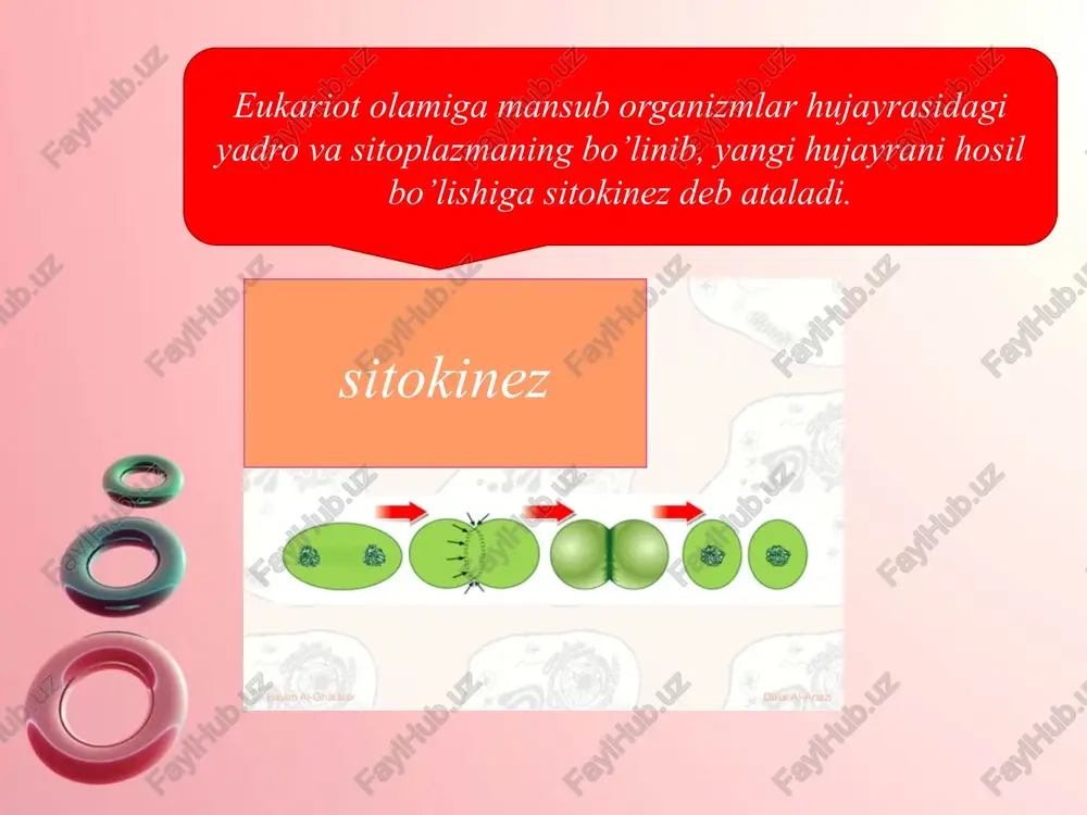 a 1986g. 4. avchinnikov yu.a. bioorganicheskaya ximiya. moskva 1987g 5. itogi issledovanie alkaloido nosnix rasteniy. t iz-vo « fan» an.r.uzbekistan 1995 . image9.jpeg image10.jpeg image11.jpeg image12.jpeg image13.png image14.jpeg image15.jpeg image1.jpeg image2.jpeg image3.jpeg image4.jpeg image5.jpeg image6.jpeg image7.jpeg image8.jpeg /docprops/thumbnail.jpeg