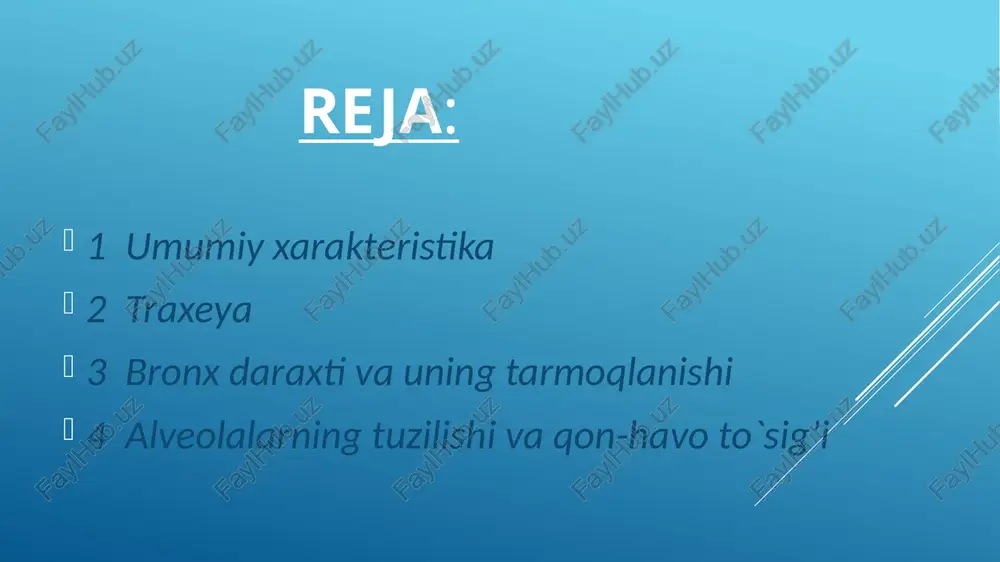 ki, darvoza atrofida bir-biri bilan birlashgan parietal va vistseral qavatlardan tashkil topgan. ikkala qavat kollagen va elastik tolalarni tutgan yupqa biriktiruvchi to'qimaning yuzasida yotgan mezoteliy hujayralaridan iborat. image1.png image2.png image3.png image4.png image5.png image6.png image7.png image8.png image9.png image10.png image11.png image12.png image13.png image14.png image15.png image16.png image17.png image18.png image19.png image20.png image21.png image22.png image23.png image24.png image25.png image26.png /docprops/thumbnail.jpeg