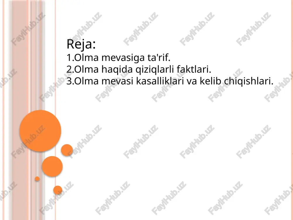 aoliyatini yaxshilaydi, qon bosimini me’yorda ushlab turadi va qon tomirlarni mustahkamlaydi. olmada mavjud tolalar (kletchatka) ovqat hazmini yaxshilaydi, ichak faoliyatini normallashtiradi va organizmni zararli moddalar hamda toksinlardan tozalaydi.b guruhi vitaminlari va temir moddasi tufayli olma asab tizimini tinchlantiradi, miya faoliyatini kuchaytiradi va xotirani yaxshilaydi..olma teri va sochlar uchun ham foydali, ularni sog‘lom, tiniq va mustahkam qiladi. olma kam kaloriyali bo‘lgani uchun parhez tutayotgan yoki vazn nazoratini saqlamoqchi bo‘lgan insonlar uchun eng yaxshi tanlovdir. u tabiiy energiya manbai bo‘lib, charchoqni kamaytiradi va kuch bag‘ishlaydi. qiziqarli faktlari. olma inson tomonidan eng qadimdan yetishtirilgan mevalardan biridir. arxeologlar olma daraxti 10 ming yil avval ham o‘stirilganini aniqlashgan. dunyoda 7 mingdan ortiq olma navlari mavjud. har bir nav ta’mi, rangi va hidi bilan farq qiladi — shirin, nordon, qizil, yashil, hatto qizg‘ish rangdagilari ham bor. olma suvning 85 foizini tashkil qiladi.shu sababli u chanqoqni bosishga yordam beradi va tanani nam saqlaydi. eng yirik olma 1,8 …