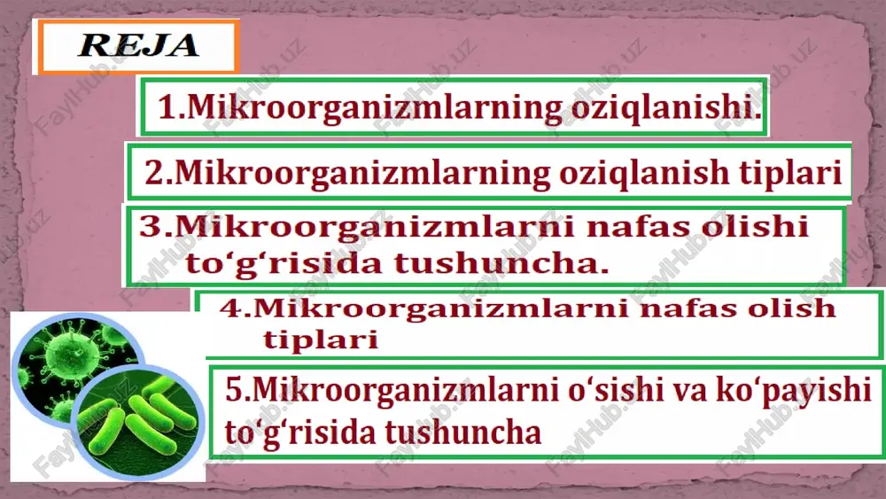 ar – faqat tayyor organik birikmalardan uglyerod manbalari sifatida foydalanadi. geterotroflar (organotrof) ikkita katta guruhga bo‘linadi: 1.saprofitlar. (metatrof) 2.parazitlar (paratrof) mikroorganizmlarning oziqlanish tiplari geterotroflar (organotrof) ikkita katta guruhga bo‘linadi: parazit (parasitos) lotincha so‘z bo‘lib, boshqa tirik organizmlarning sathida yoki ichida yashab, shu tirik organizm hisobidan oziqlanadi. saprofit – (sapros - chirish va phyton- o‘simlik) lotincha so‘z bo‘lib, o‘lgan substratlarda yashaydi, degan ma’noni bildiradi. tayyor organik birikmalardan foydalanadi va yer yuzidagi mikroorganizmlarning ko‘pini tashkil qiladi. ‹#› avtotrof (o‘z-o‘zini ovqatlantiruvchi) tipida ovqatlanish kerakli energiyani va uglerodni organik moddalardan o‘zi oladigan mikroorganizmlarga xosdir. bularga tuproqdagi ba’zi mikroorganizmlar (bact. rantotropus va bact.olygocarbophilus) kiradi. fototrof- (energiya manbai yorug‘lik) xemotrof – (enyergiya manbai bo‘lib har xil organik va anorganik moddalar xizmat qiladi) avtotroflar ikki guruxga bo‘linadi: fototrof- (energiya manbai yorug‘lik bo‘lsa) oziqlanish hujayra moddalarini yorug‘lik nuri, so2, neorganik moddalar (n2o, n2s, s) yordamida quradi. ya’ni fotosintezni amalga oshiradi. bu guruhga sianobakteriyalar, qirmizi bakteriyalar va yashil bakteriyalar …