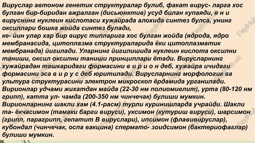 tadan bir necha yuz genlar tutishi mumkin va udarning nuklein kislotalari - ikki ipli, bir ipli, chizikli, xalkasimon va fragmentlangan bulishi mumkin. rnk saklovchi viruslarda fakat musbat ipli (+rnk) ge- nom tutuvchi viruslar uchrab, infektsion virus deb xam ataladi. bu viruslarda transkriptsiya kuzatilmaydi, virusning rnk si bir vaktning uzida informatsion (irnk) vazifasini xam ba- jaradi. manfiy ipli rnk tutuvchi viruslarda esa rnk genomi fakat nasliy funktsiyani bajaradi. virionlar tuzilishi jixatdanoddiy (yalangoch) va murakkab (kiyingan) viruslarga bulinadi. oddiy viruslarga (shol, gepa- tit a), murakkab viruslarga (kizamik, oitv, gepatit v) kiradi. oddiy virionlar nuklein kislota va uni zich urab turgan oksil kobigi kapsiddan iborat (capsa - dotincha bulib, gilof demak- dir). virionlarning kapsidlari uz navbatida ketma-ket keluv- chi subbirliklardan iborat bulib, udar kapsomerlar deb ata- ladi (4.2-rasm). kapsomerlarni elektron mikroskopda kurish mumkin, xar bir virionlaroilasiuchunkapsomerlarnisoni udarga xos xisoblanadi. masalan, adenoviruslar 252 ta, pikor- noviruslar 60 ta kapsomerlar tutadi. nuklein kislotasi va kapsomer …