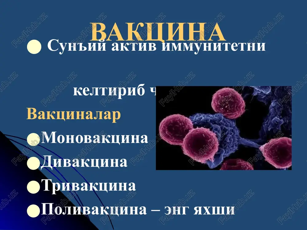 o'lmoklikni anglatadi immunitet – organizmni tirik tanachalar va moddalardan himoyalanish usuli bo'lib o'zida genetik begonalik belgilarini tashib yuruvchi antigenlarga organizmning qarshilik qilish xususiyatidir. immunitet turlari nospetsifik (nomaxsus) spetsifik (maxsus) tug'ma immunitet orttirilgan immunitet maxsus tug'ma turga xos genotipda saqlanadi sun'iy sharoitda hosil qilinmaydi orttirilgan individual spetsifik (maxsus) sun'iy sharoitda hosil qiladi doimiy emas-yo'qolishi mumkin at hosil bo'ladi immunitet turlari orttirilgan immunitet sun'iy orttirilgan tabiiy orttirilgan aktiv inf.keyin passiv ona suti orqali aktiv, vaktsi- natsiya orqali passiv, zardob- dan so'ng anti mikrob steril nosteril anti toksik nomaxsus himoya faktorlari 1. xujayraviy 2. gumoral 3. to'qimali 4. funktsional xujayraviy ximoya faktori fagotsitoz bu har-xil begona tashqaridan tushgan bo'lakchalarni organizmning maxsus xujayralari bilan qamrab olib, keyinchalik xujayra ichidagi fermentlar yordamida ularni xazm qilib yuborish protsessiga aytiladi. fagotsitoz boskichlari 1. xemotaksis - fagotsitning mikrobga yaqinlashishi ko'riladi; 2. fagotsitlarning yopishishi (retseptorlar erdamida), adgeziya protsessi; 3. endotsitoz - fagosomalar hosil bo'lib, mikroblarni o'rab olishi 4. mikrobning …