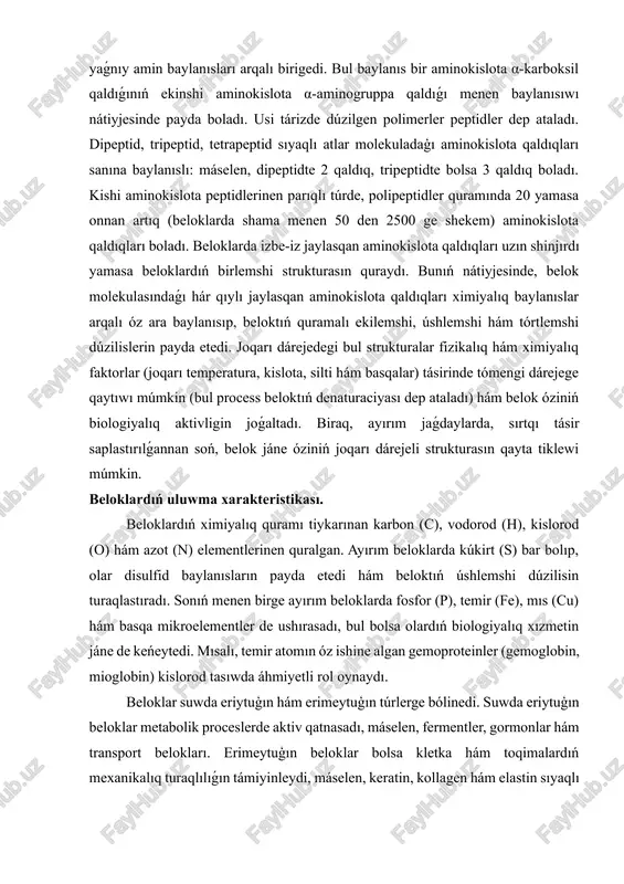 atomi) na aminogruppa hám karboksil gruppa birigedi. beloklarda 20 túrli aminokislota ushirasadı, olar óz ara r-gruppası menen parıqlanadı, bul gruppa gidrofil yamasa gidrofob, tiykarlı, kislotalı yamasa neytral boliwi múmkin. beloklarda aminokislotalar bir-birine peptid baylanısları arqalı, yaǵnıy amin baylanısları arqalı birigedi. bul baylanıs bir aminokislota α-karboksil qaldıǵınıń ekinshi aminokislota α-aminogruppa qaldıǵı menen baylanısıwı nátiyjesinde payda boladı. usi tárizde dúzilgen polimerler peptidler dep ataladı. dipeptid, tripeptid, tetrapeptid sıyaqlı atlar molekuladaģı aminokislota qaldıqları sanına baylanıslı: máselen, dipeptidte 2 qaldıq, tripeptidte bolsa 3 qaldıq boladı. kishi aminokislota peptidlerinen parıqlı túrde, polipeptidler quramında 20 yamasa onnan artıq (beloklarda shama menen 50 den 2500 ge shekem) aminokislota qaldıqları boladı. beloklarda izbe-iz jaylasqan aminokislota qaldıqları uzın shinjırdı yamasa beloklardıń birlemshi strukturasın quraydı. bunıń nátiyjesinde, belok molekulasındaǵı hár qıylı jaylasqan aminokislota qaldıqları ximiyalıq baylanıslar arqalı óz ara baylanısıp, beloktıń quramalı ekilemshi, úshlemshi hám tórtlemshi dúzilislerin payda etedi. joqarı dárejedegi bul strukturalar fizikalıq hám ximiyalıq faktorlar (joqarı temperatura, kislota, …