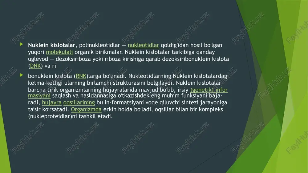 3¹5¹ - fosfodiefir bog`lari yordamida bog`langan yuqori molekulyar moddalarga nuklein kislotalar yoki polinukleotidlar deyiladi. hujayra tarkibidagi dnk va rnkning umumiy miqdori uning funktsional holatiga bog`liq bo`ladi. masalan, urug` hujayralari (spermatozoidlar)da dnk hujayra quruq massasining 60% ini, ko`pchilik hujayralarda 1-10, muskullarda esa 0,2 % bo`ladi. pnk ning miqdori esa odatda, dnk ga nisbatan 5-10 marta ko`proq bo`ladi. jigar, oshqozon osti bezi, embrional to`qimalar kabi faol ravishda oqsil sintezlovchi to`qimalarda rnk/dnk nisbati 4 dan 10 gacha bo`ladi. yadrosi shakllanmagan bakteriya hujayralari (prokariotlar) da dnk molekulasi sitoplazmaning maxsus zonasida – nukleoidda joylashgan bo`ladi. agar u bakteriyaning hujayra membranasi bilan bog`langan bo`lsa, mezosoma deb aytiladi. kichik o`lchamli dnk bo`laklari bunday xromosomali zonadan tashqarida joylashgan bo`lib, bakteriyalarda bunday qismlar plazmidalar deyiladi. yadrosi to`la shakllangan hujayralar (eukariotlar) da dnk yadro bilan yadrocha oralig`ida – xromosomalar tarkibida hamda yadrodan tashqari organoidlar (mitoxondriya va xloroplastlar)da bo`ladi. hujayraning taxminan 1-3 % dnk si yadrodan tashqariga, qolgan qismi esa yadro …
