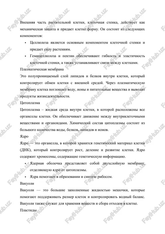 sreda vnutri kletki, v kotoroy raspolojeni vse organelli kletki. on obespechivaet dvijenie mejdu vnutrikletochnimi veshestvami i organoidami. ximicheskiy sostav tsitoplazmi sostoit iz bolshogo kolichestva vodi, belkov, lipidov i ionov. yadro yadro — eto organella, v kotoroy xranitsya geneticheskiy material kletki (dnk), kotoriy kontroliruet rost, delenie i razvitie kletki. yadro soderjit xromosomi, soderjashie geneticheskuyu informatsiyu. · yadernaya obolochka predstavlyaet soboy dvuxsloynuyu membranu, otdelyayushuyu yadro ​​ot tsitoplazmi. · yadra pomogayut v obrazovanii i sinteze ribosom. vakuoli vakuoli — eto bolshie zapolnennie jidkostyu meshochki, kotorie pomogayut podderjivat razmer kletok i kontrolirovat vodniy balans. vakuoli takje slujat dlya xraneniya veshestv i sbora otxodov v kletke. plastidi eto spetsificheskie organoidi rastitelnoy kletki. ix sushestvuet tri tipa: · xloroplasti – fotosinteticheskie organelli, soderjashie pigment xlorofill. on preobrazuet energiyu solnechnogo sveta v ximicheskuyu energiyu. · xromoplasti — eto organelli, xranyashie pigmenti, kotorie pridayut tsvet tsvetam i fruktam. · leykoplasti — bestsvetnie plastidi, xranyashie kraxmal i drugie zapasnie …