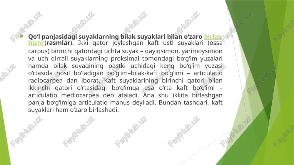 ylam – ligamentum radiocarpeum dorsale panjaning orqa tomonida turadi. articulatio mediocarpea – ustki qatordagi uchta suyak (no‘xatsimon suyak kirmaydi) bilan ikkinchi qatordagi to‘rtta kaft usti suyaklari o‘rtasida hosil bo‘ladi. ikkinchi qatordagi suyaklar ham bir-biri bilan ligamentum intercarpea interossea vositasida qo‘shilgan. lekin bu boylamlar tarang tortilmaganligi sababli suyaklar bir-biriga uncha yaqin kelmaydi. ligamenta intercarpea palmaria et dorsalia deb ataluvchi boylamlar ko‘ndalangiga va qiyig‘iga kaft usti suyaklarining biridan ikkinchisiga tortilgan bo‘lib, o‘sha ikkita qo‘shiluvchi suyaklarning nomi bilan ataladi. bundan tashqari, kaft tomondagi bitta boylam boshli suyak (ligamentum carpi radiatum) dan boshlanib, shu’la singari qo‘shni suyaklarga taraladi. no‘xatsimon suyak uch qirrali suyak bilan qo‘shilib, articulatio ossis pisiformis ni hosil qiladi. no‘xatsimon suyakdan boshlanuvchi ikki boylamning biri (haqiqiy boylam) ilmoqli suyakka yopishgani uchun ligamentum pisohamatum deb ataladi, ikkinchisi esa iii, iv va v kaft suyaklarining (ligamentum pisometacarpeum) proksimal uchlariga yopishgan. bilak suyagi bilan kaft usti suyaklari o‘rtasidagi harakatlar frontal va sagittal o‘qlar atrofida sodir …