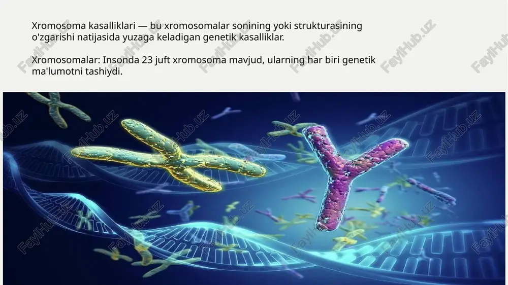 xxxy holati o‘rtacha 500 ta boladan bittasida uchraydi. shershevskiy-terner turners sindromi — bu x xromosomasining monosomiya (faqat bitta x xromosoma) natijasida yuzaga keladi. belgilari: bo'yi past yuzning o'zgarishi (qisqa bo'yin, keng yelkalari) reproduktiv tizimning rivojlanishidagi muammolar (ovulyatsiya buzilishi) diagnostika: karyotiplash, genetik tahlil. edvards sindromi edvards sindromi — bu 18-xromosomaning trisomiya natijasida yuzaga keladi. belgilari: fetal rivojlanishning kechikishi yuz va boshning aniq shakllanish yurak va buyrak anomaliyalar prognoz: ko'p hollarda tug'ilishdan keyin bir necha hafta yoki oylar ichida o'lim yuz beradi. belgilar buyraklardagi malformatsiyalar. yurakdagi malformatsiyalar. ovqatlanish qiyinligi. qizilo'ngach atreziyasi (qizilo'ngach oshqozon bilan bog'lanmagan) omfalotsel (ichaklar kindik orqali tanadan tashqariga chiqadi) nafas olishda muammo mikrosefaliya mikrognatiya (mandibula kutilganidan kichikroq). quloqlarda malformatsiyalar. keng o'rnatilgan ko'zlar, kichik, osilgan ko'z qovoqlari. ko'krak qafasi sternum sohasida tashqariga chiqadi. anormal qisqa sternum bosh barmoqlar va tirnoqlar kam rivojlangan. qavariq oyoqlar oyoq barmoqlarini birlashtiradigan kamarlarning mavjudligi. og'ir aqliy zaiflik. di-gorji sindromi di-gorji sindromi — bu 22-xromosomaning delitsiyasi …