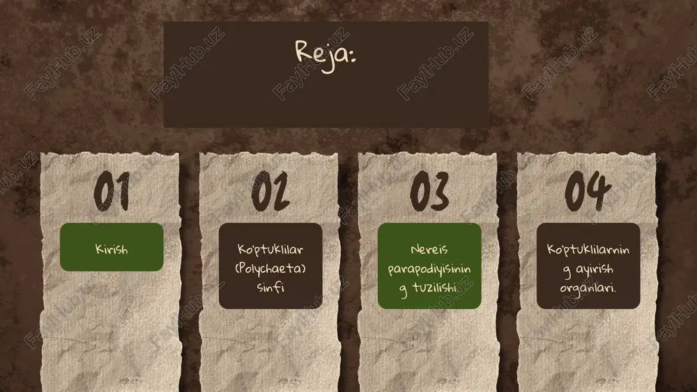 silindrsimon yoki bir oz yassilashgan, 5 dan 800 gacha halqalardan iborat. oldingi og'izoldi bo'limi - prostomium va oxirgi anal bo'limi pigidium boshqa bo'imlardan farq qilib, tananing bo'g'imlarga bo'linmagan qismi hisoblanadi. erkin yashovchi tuban tuzilgan turlarining halqalari bir xil – gomononi tuzilgan geteronom bo'ladi peristornium ko'pincha 2-3 ta tana bo'g'imlaridan hosil bo'ladi. uning ostki qorin tomonida og'iz teshigi joylashgan. bitta yoki bir necha jaro yon bo'g'imoyoqlarda ham sodir bo'ladi. prostominumda bir juft paypaslagichlar, ya'ni palplar va bir juft yoki ko'proq tuyg'u organlari - antennalar joylashgan. peristomiumda mo'ylovlar, ya'ni srrillar bo'ladi. parapodiylar juda sodda tuzilgan harakatdanish organlari bo'lib, halqali chuvalchanglarda birinchi marta paydo bo'lgan. peristornium parapodiylar muskulli, kalta tana o'simtalari bo'lib, tananing ikki yonida har bir bo'g'imda bir juftdan joylashgan. har bir parapodiy yaxlit bazal va ikkiga bo'lingan ustki bo'laklardan iborat ustki bo'laklarning orqa shoxi notopodiya, qorin shoxi nevropodiya deyiladi. orqa va qorin shoxidan asosidan bittadan sezgir mo'ylovlar chiqadi. har bir shoxda …