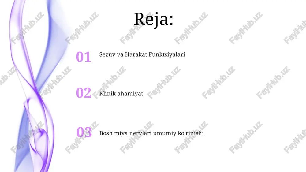 erian gangliy) ga, mekkel kovagida joylashgan, sezgi impulslari yuboradi uch shoxli nervning sezgir yadrolari miya sopi bo'ylab, ponsdan yuqori orqa miya tomon cho'zilgan. motor yadrosi ponsda, boshqa kranial nerv yadrolari yonida joylashgan to'rtinchi bosh miya nervi: troxlear blok nerv (cn iv) o'n ikki juft kranial nervlardan biri; uning yadrosi o'rta miya ichida joylashgan; u miya sopi orqa tomonidan chiqadigan yagona kranial nerv; shikastlanishlar diplopiya (ikki ko'rish) va gipertrofiya (ko'z yuqoriga burilgan) ga olib kelishi mumkin. ko'rish nervi (ii juft) ko'z nervi (cn ii) to'r pardadagi ganglion hujayralaridan kelib chiqadi, taxminan 1 million akson nervni hosil qiladi. u ko'z chuqurchasidan ko'z kanal orqali chiqib, bosh suyagining ichki bo'shlig'iga kiradi ko'rish nervi (ii kranial nerv) – 12 juft kranial nervlardan biri bo'lib, retinaning (ko'zning orqa qismida joylashgan) ko'rish ma'lumotlarini optik xiyazma va optik trakt orqali miyaning oksipital lobiga uzatadi bosh miya nervi i: hidi sezish nervi viii bosh miya nervi: vestibulokoklear ichki …