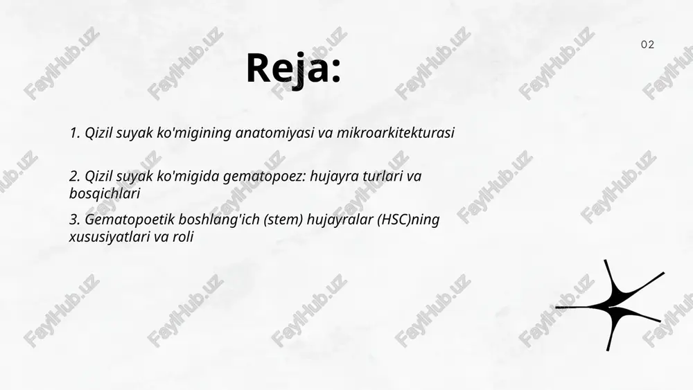 erentsiyalashni boshqaradi, qon hujayralari liniyalarini (myeloid va lymphoid) tiklaydi. ... t.me/ziyokortalababot 4. qizil suyak ko'migi mikromuhiti (niche) va uning regeneratsiyadagi funksiyasi qizil suyak ko'migi mikromuhiti (niche) stromal hujayralar, osteoblastlar, endoteliy, mezenchimal stromal hujayralar, ecm va sitokinlar (scf, cxcl12, tpo) dan iborat. u hsc larni kviesentsiya, o'zini yangilash, proliferatsiya, differentsiyalash, homing va mobilizatsiya orqali regeneratsiyani boshqaradi. hipoksiya, notch, wnt va tgf-β signallari niche funksiyasini modulyatsiya qiladi. jarohat yoki radiatsiya keyin niche remodel qilinadi, sitokinlar chiqarilib hsc faollashadi; yoshi o'tishi bilan niche disfunksiyasi regeneratsiyani kamaytiradi. ... t.me/slaydai_bot sitokinlar va o'sish omillari qizil suyak ko'migining regeneratsiyasini boshqaradi. asosiy molekulalar: il-1, il-6, tnf-α, gm-csf, g-csf, epo, tgf-β, vegf, scf, sdf-1 (cxcl12). ular stromal hujayralar, osteoblastlar, endoteliy va immun hujayralar tomonidan sekret qilinadi. funksiyalari: hsc proliferatsiyasi, differensiyalanishi, migratsiyasi va mobilizatsiyasi, mikronishni saqlash, angiogenez va apoptozni modulyatsiya qilish. terapevtik qo'llanilishi qatoriga o'sish omillarini infuziya qilish va sitokinlarni bloklash kiradi. ... t.me/slaydai_bot notch, wnt va bmp signal …