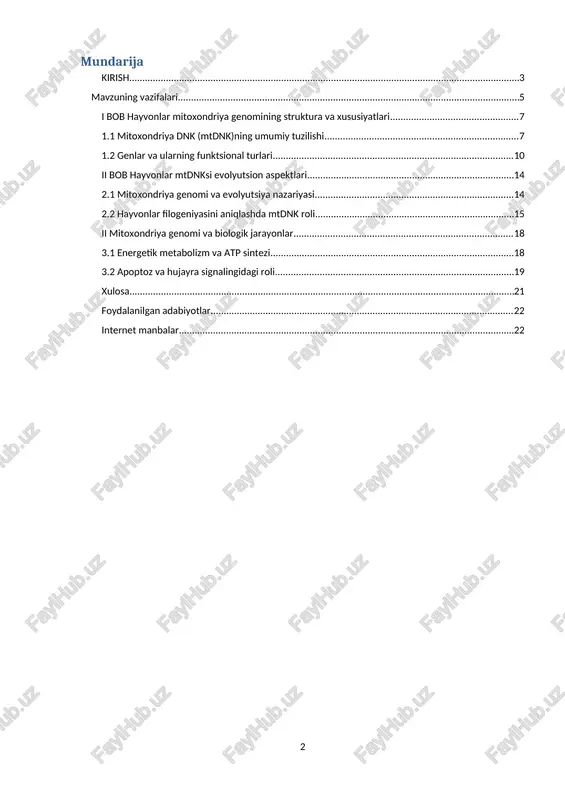a imkon beradi. hayvonlar mitoxondriya genomining struktura, funksional xususiyatlari, evolyutsion ahamiyati va ilmiy tadqiqotlarda qo‘llanilishini batafsil tahlil qilishdir. mavzuning dolzarbligi hayvonlar mitoxondriya genomini o‘rganishning dolzarbligi nafaqat molekulyar biologiya va genetikada, balki ekologiya, tibbiyot va evolyutsion tadqiqotlarda ham yuqori ahamiyatga ega. mitoxondriya hujayraning energiya ishlab chiqaruvchi markazi bo‘lib, uning genomi energiya sintezida ishtirok etuvchi oqsil kodlovchi genlarni, shuningdek, ribosom va transfer rnk genlarini o‘z ichiga oladi. mtdnkni o‘rganish hujayra metabolizmi, energiya ishlab chiqarish jarayonlari va hujayra funksiyalarini chuqurroq tushunishga imkon beradi. mitoxondriya genomidagi mutatsiyalar esa ko‘plab degenerativ va energetik kasalliklarning molekulyar asosini aniqlashda muhim ahamiyatga ega. hayvonlar mtdnksi evolyutsion biologiya va filogenetik tadqiqotlarda keng qo‘llaniladi, chunki u yuqori mutatsiya tezligiga ega bo‘lib, ona chiziqi orqali meros bo‘ladi. bu xususiyat tur va populyatsiya darajasidagi genetik farqlarni aniqlash, hayvonlar turlarining kelib chiqishi va evolyutsion munosabatlarini o‘rganishda ishonchli vosita sifatida xizmat qiladi. mitoxondriya genomini o‘rganish ekologik va konservatsion biologiya uchun ham dolzarbdir, chunki turli …