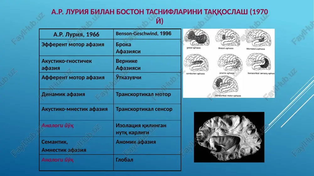 or faoliyatning pasayishida sodir bo'ladi. monologik nutq va kengaytirilgan dialog dinamik afaziyada juda sezilarli ravishda buziladi. ushbu guruh bemorlariga oddiy muloqot tushunarli bo'lishi mumkin, chunki tayyor nutq reaktsiyalarining zanjiri bo'lgan dialogik nutq eng oddiy, ixtiyoriylik jihatidan minimal faollikni talab qilmaydigan nutq shaklidir. ushbu guruhdagi bemorlar faqat tayyor so'zlar dasturlarini o'z ichiga olgan nutq jarayonlaridan (iboralardan) foydalanishlari mumkin bo'ladi. efferent motor afaziyaga chalingan bemorlardan farqi o'laroq, bu bemorlar tovushlarni, ularning qatorlarini, so'z va jumlalarni yaxshi takrorlaydilar, ob'ektlarni nomlashda, stereotipik va oddiy iboralarni talaffuz qilishda qiyinchiliklarga duch kelmaydilar. barcha qiyinchiliklar bemorlar reproduktiv nutq chegarasidan chiqib, uning faol shakliga o'tishlari kerak bo'lgan vaziyatda paydo bo'ladi, ya'ni afaziyaning bu shakllari nutq buzilishlarining turli tuzilmalariga olib keladigan turli mexanizmlarga asoslangan va shuning uchun ular tiklovchi ta'limning turli usullariga muhtoj. dinamik afaziyada nutq buzilishlarining xarakteri tiklovchi ta'limning uchta asosiy vazifasini belgilab beradi: ichki nutqdagi nuqsonlarni bartaraf etish, uning vazifalaridan biri - tashqi nutqni rejalashtirish va dasturlashdir. …