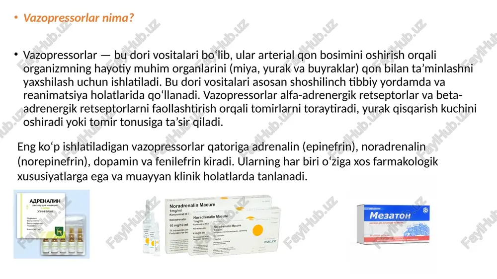 shga tushiradi. fosfolipaza c hujayra ichida inozitol trifosfat (ip3) va diatsilglitserol (dag) hosil qiladi. ip3 hujayra ichida kalsiy ionlarini chiqaradi, bu esa silliq mushaklarning qisqarishiga olib keladi. natijada qon tomirlari torayadi (vazokonstriksiya) va qon bosimi oshadi. alfa-2 retseptorlari: alfa-2 retseptorlari nerv uchlari orqali noradrenalin ajralishini pasaytiradi va refleksiv ravishda simpatik javobni susaytiradi. bu periferik qarshilikni boshqarishda yordam beradi. misollar: noradrenalin alfa-1 retseptorlariga kuchli ta’sir ko‘rsatadi va tomirlarning torayishini ta’minlaydi. beta-adrenergik retseptorlarga ta’siri beta-1 retseptorlari: yurak mushak hujayralarida joylashgan. vazopressorlar beta-1 retseptorlarini faollashtirib, adenilattsiklaza fermenti orqali siklik adenozin monofosfat (camp) hosil bo‘lishini rag‘batlantiradi. camp kalsiy ionlarini faollashtiradi, bu yurak qisqarishi kuchini (inotrop ta’sir) va yurak tezligini (xronotrop ta’sir) oshiradi. natijada yurak siqib chiqarish hajmi (cardiac output) oshadi beta-2 retseptorlari: bronx va qon tomir devorlarining silliq mushak hujayralarida joylashgan. beta-2 retseptorlarining faollashuvi adenilattsiklozani rag‘batlantiradi, bu esa silliq mushaklarning bo‘shashishiga olib keladi (bronxodilyatsiya va tomirlarning kengayishi). bu ta’sir asosan ba’zi vazopressorlar (masalan, adrenalin) …